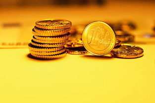 2. 投资策略与风险控制