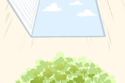 （二）对新一年运势预测的影响范畴