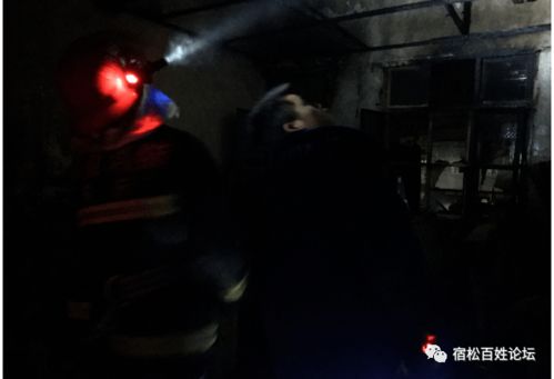 恶狼的突袭