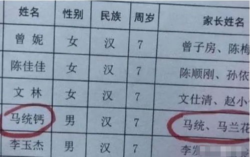 三、 五行八卦：古代智慧助力