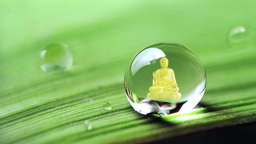深入分析梦境对现实的影响