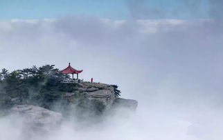 雨后幽径：幽魂踏歌行——一篇基于国学哲学的深度报告
