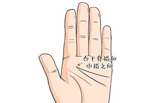 2. 食指与中指间距：勤奋与思考的辩证关系