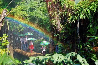 设施揭秘：童话里都是骗人的！！！