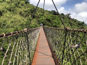 有没有优惠信息呢？嫩不嫩省点钱？