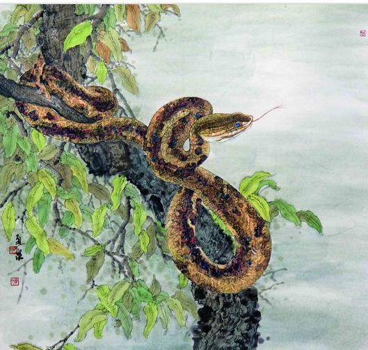 今天起，四大生肖运势会否大爆发，锦鲤翻身，财路畅通呢？