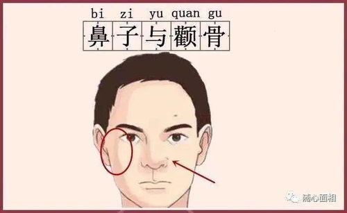 女性群体天生富有婆命之手相特征探讨