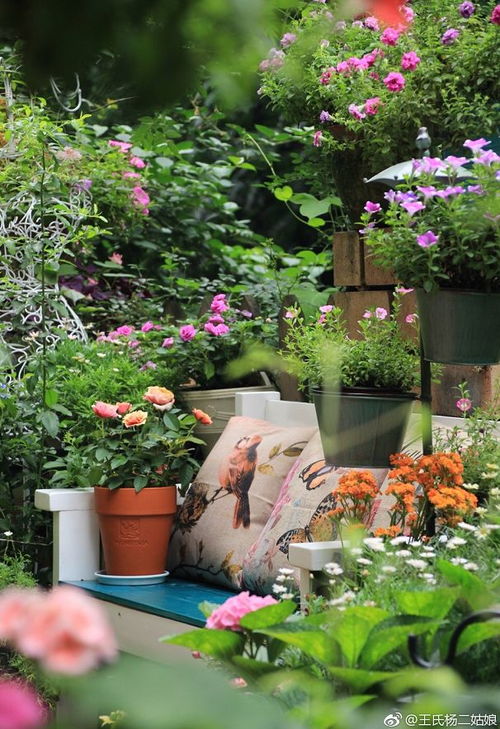 养护技巧：保障四季繁荣的重要措施