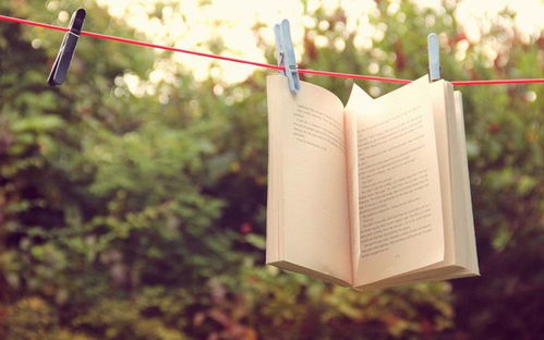 直来直去的生肖和有去无回的生肖分别指代哪些生肖？