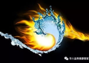 2.2 太极：阴阳平衡之道