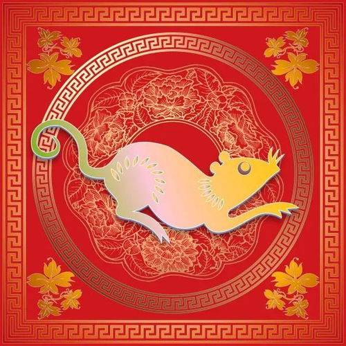 五、 属马女性群体：炎热情奔放与想象力丰富有所带来的感染力