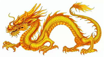 （二）火龙（丙辰年）——以丙火为主体， 并受离卦南方作用于