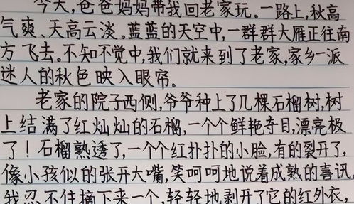 二、 成语释义与历史持续发展渊源：探寻“惊魂未定”的词源与内涵