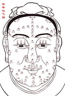 眉毛与眼睛的配合关系