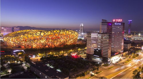 终极避坑指南（只是一堆建议， 实际效果未知）🛑🚧