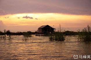 洞里萨湖门票预订优惠：一场说走就走的旅行