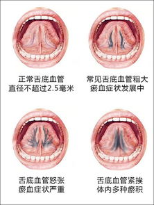 二、 关键指标：较深入解读不同形态下的病理信息