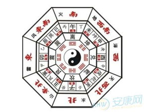 五行八卦：命理师眼中完美搭配方案
