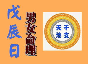 丙子日柱男命的特点