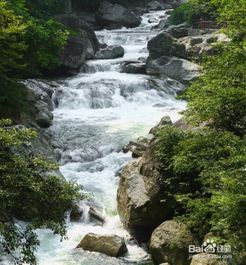 （一）吉地标识：龙穴、 龙潭及龙井