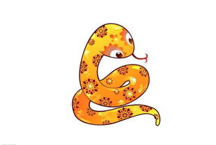 十二生肖蛇今日财运如何，运势怎样，具体分析一下？