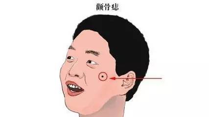 颧骨：权力和财运的双重体现