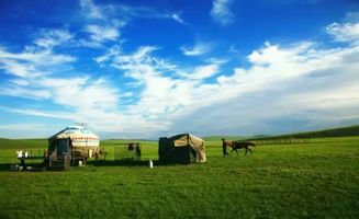 牛群悠然像退休老干部