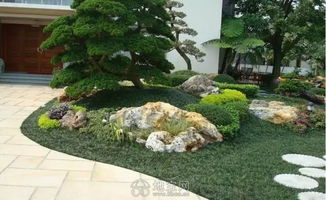 家里摆放风水屋，适合种植树木吗？