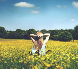 老祖宗的玄学警告！庄稼梦的隐藏密码