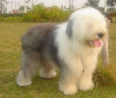 三、星座玄学大乱炖