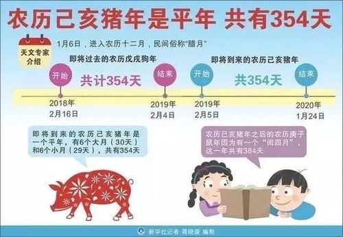 己亥猪年宝宝的喜头衔