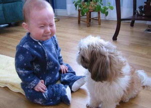 女宝专用文艺范儿(大概吧)