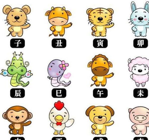 2026年哪些生肖属相能考试必过，学业顺利？