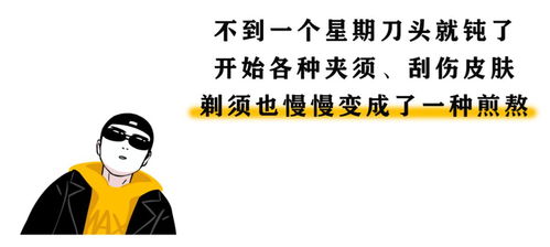 一、 低调简约美学取向之理论依据及其在网络昵称中的具体体现