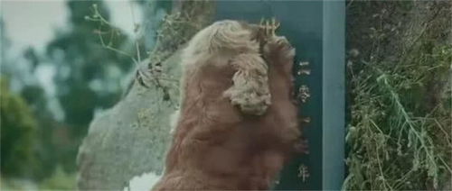 二、 光影与气候因素之象征解读
