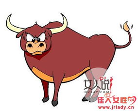 十二生肖中，牛男和猪女结合的婚姻关系具体是怎样的？