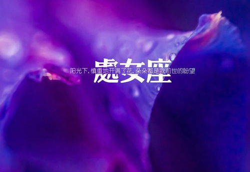 情感氛围偏理性
