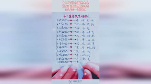 生肖配对：传统择偶标准的局限性