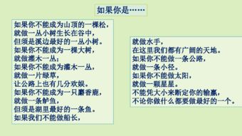 二、 主景与背景的视觉搭配原则