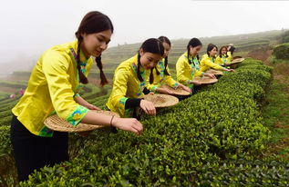 2.1 熟练工队伍结构的稳定性与传承问题