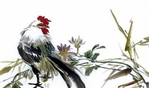 1957年属鸡人2026年运势详解，全年运势如何？