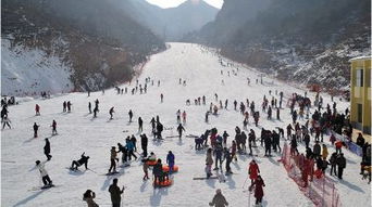 【暴走式介绍】这地儿能把你冻成狗但超嗨