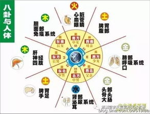 四、 中西医结合之风水玄学特别篇