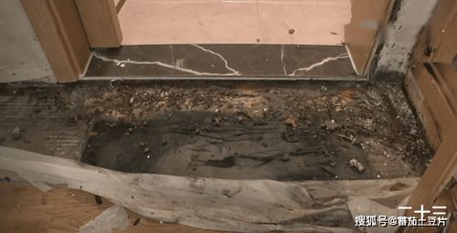 家里墙角长蘑菇是吉是凶？80万新房墙角长蘑菇预示什么？