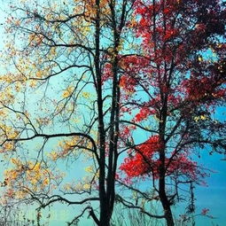 佛家是否研究风水，以及他们是否会运用风水知识？