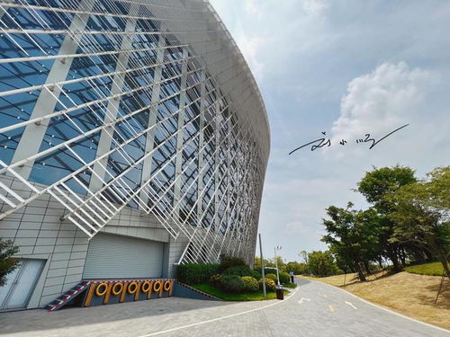 三、案例琢磨：成功建材公司名称的奥秘