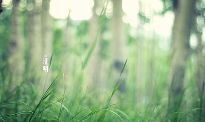 2022年清明节是否适宜动土移坟，无需特别挑选吉日？