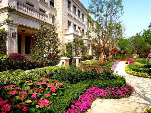 1. 蔬菜园区——兼顾生态与生活需求