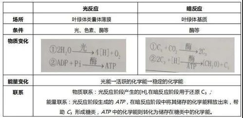 1.1 推荐资深道长的必要性