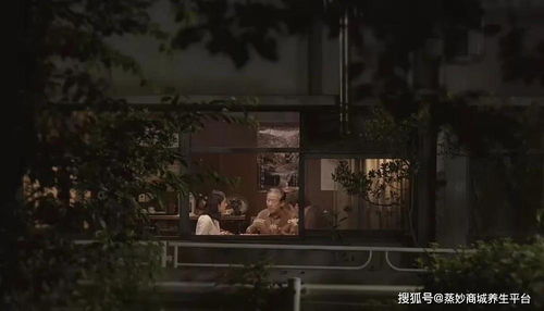 第二梯队：边缘化存在与社会周边环境批判载体
